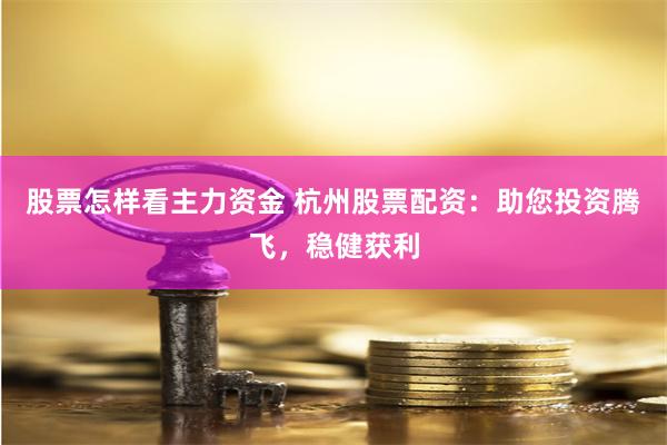 股票怎样看主力资金 杭州股票配资：助您投资腾飞，稳健获利