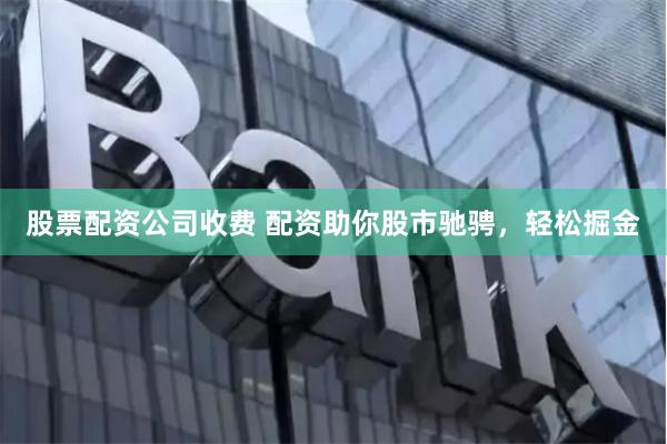 股票配资公司收费 配资助你股市驰骋，轻松掘金