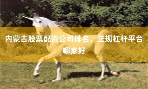 内蒙古股票配资公司排名，正规杠杆平台哪家好