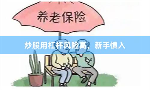 炒股用杠杆风险高，新手慎入